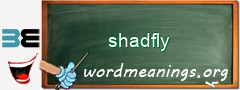 WordMeaning blackboard for shadfly